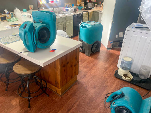 Best Professional water damage repair  in Tres Arroyos, NM