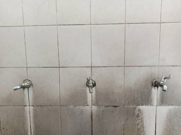  Tres Arroyos, NM Water damage restoration Pros