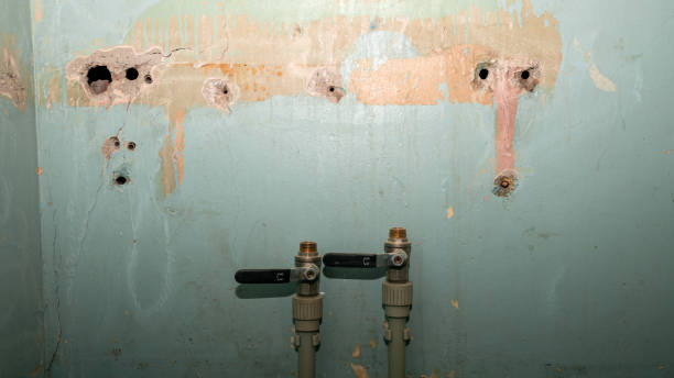Best Water damage cleanup near me  in Tres Arroyos, NM